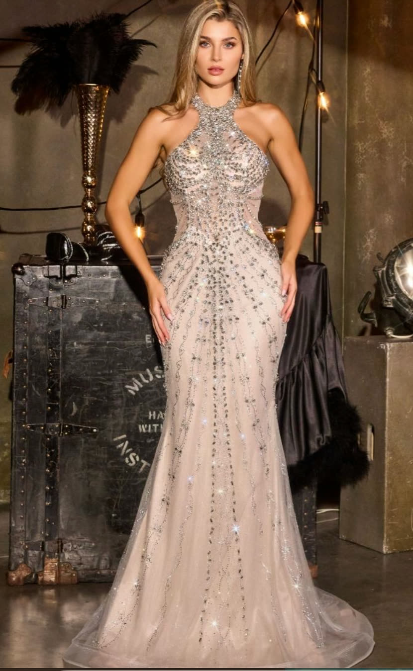 Homecoming and damas dress